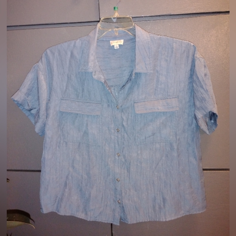 Waverly Large Light Blue Top